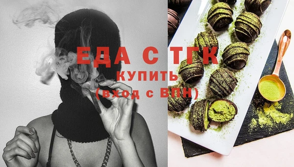тгк Дмитриев