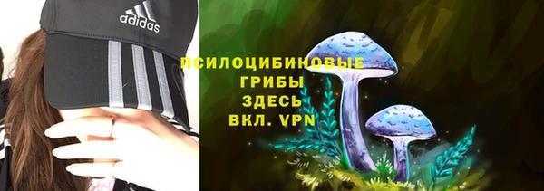 крисы Михайлов