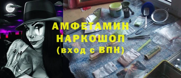 тгк Дмитриев