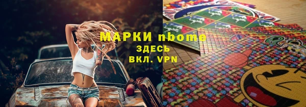 тгк Дмитриев